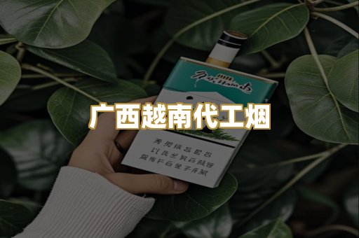 广西越南代工烟